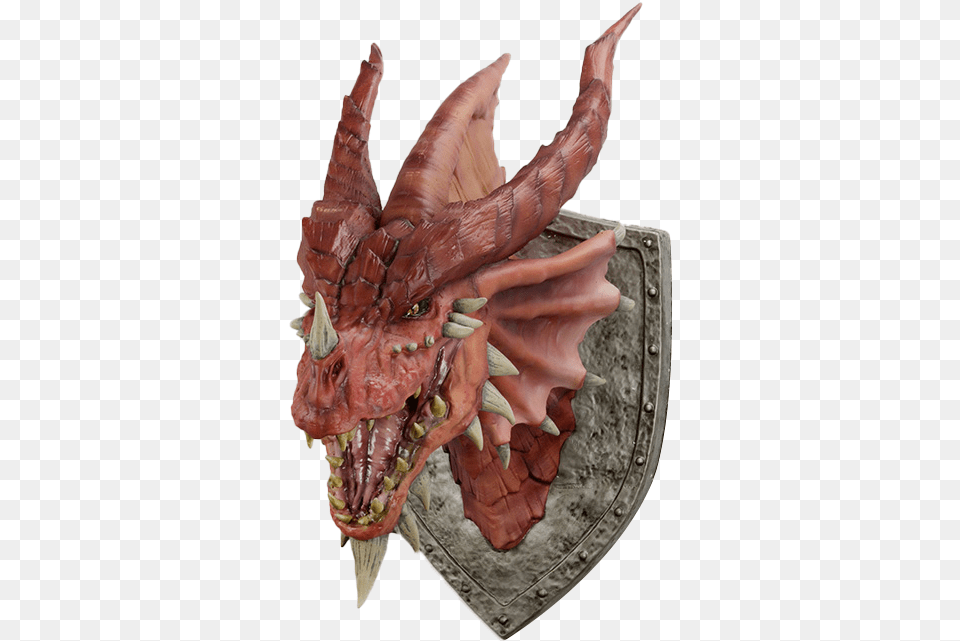 Download Hd Dungeons U0026 Dragons Large Dragon Head Wall Trophy Dragon, Person Png