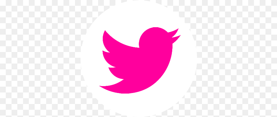 Download Hd Facebook Twitter Instagram Twitter Logo Pink Twitter Gif Pink, Sticker Png Image