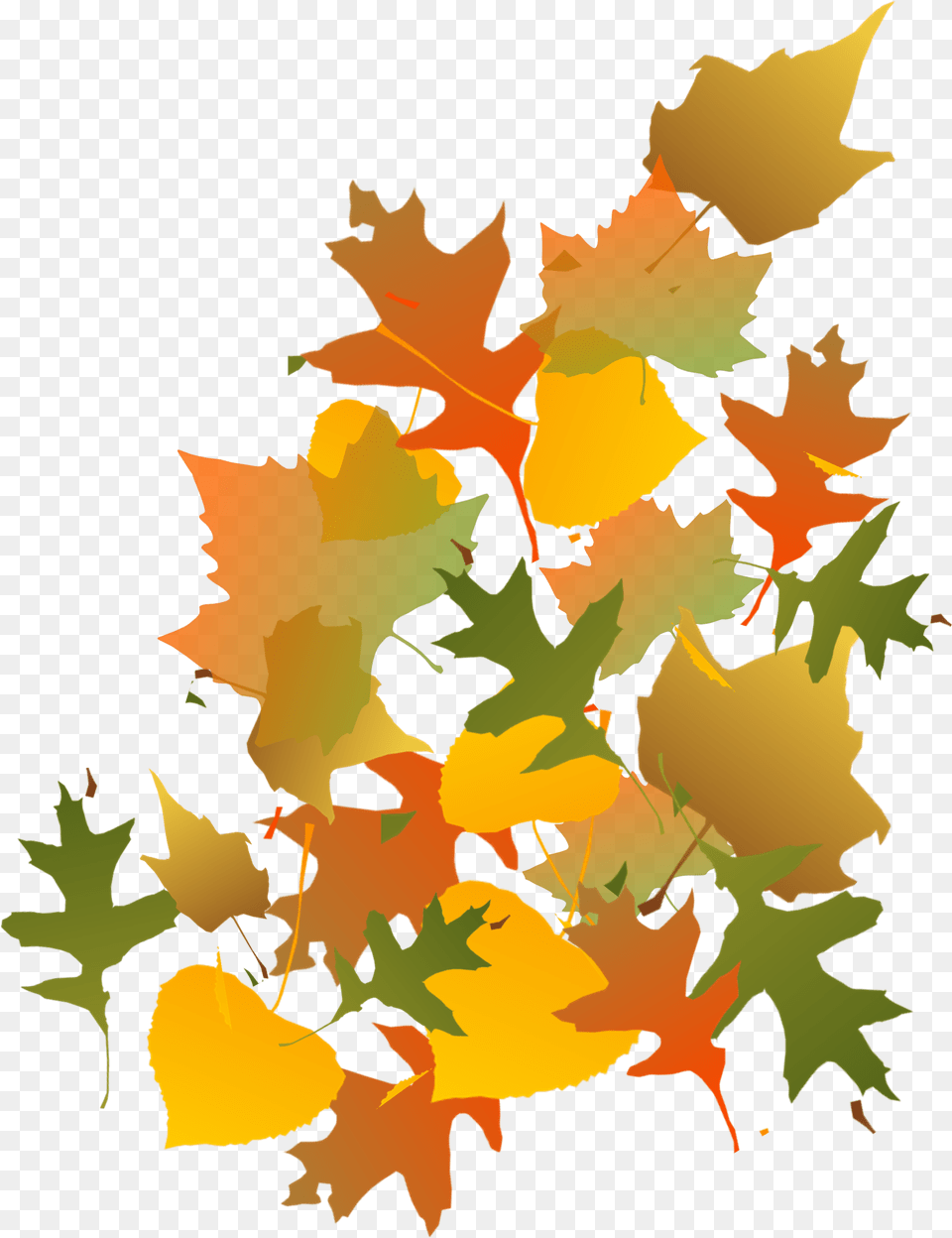 Hd Fall Leaves Image Autumn Leaves Clip Art Autumn Leaves Clip Art, Leaf, Plant, Tree, Maple Free Png Download