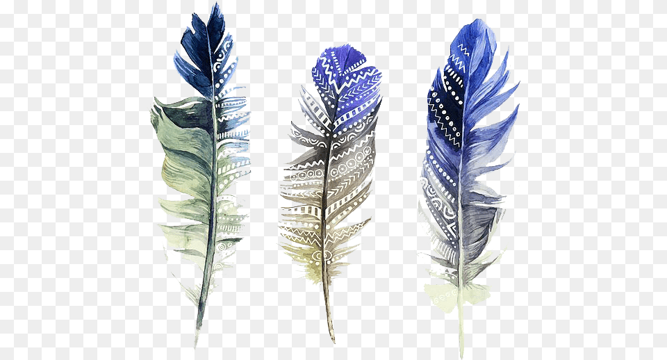 Hd Feather Watercolor Painting Illustration Watercolor Transparent Feather Hd, Leaf, Plant, Accessories, Jewelry Free Png Download
