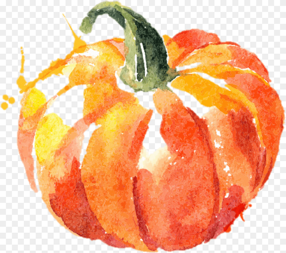 Download Hd Featured Image Watercolor Pumpkin, Citrus Fruit, Food, Fruit, Grapefruit Png