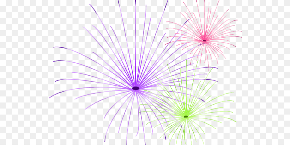 Download Hd Fireworks Images New Year Fireworks White Background, Plant, Light Free Transparent Png