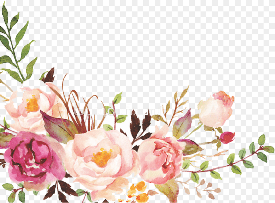 Download Hd Floral Marsala Rosa Watercolor Floral Watercolor Flower Border, Art, Pattern, Graphics, Floral Design Free Png