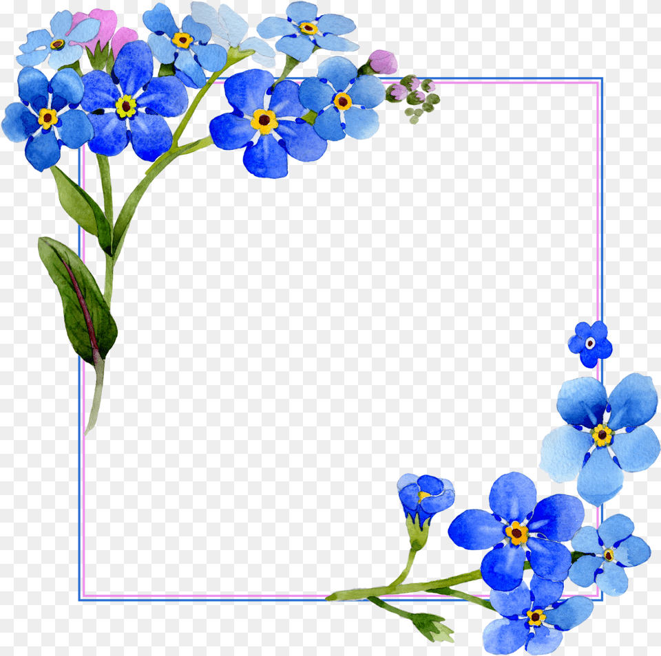 Download Hd Flower Frame Blue Watercolor Blue Flower Background, Anemone, Geranium, Plant, Petal Png