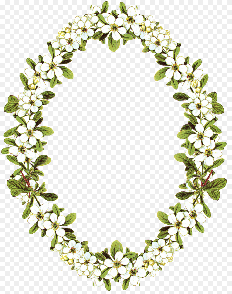 Download Hd Flower Oval Frame Jumma Mubarak Photo Flowers, Flower Arrangement, Plant, Photography, Accessories Free Transparent Png