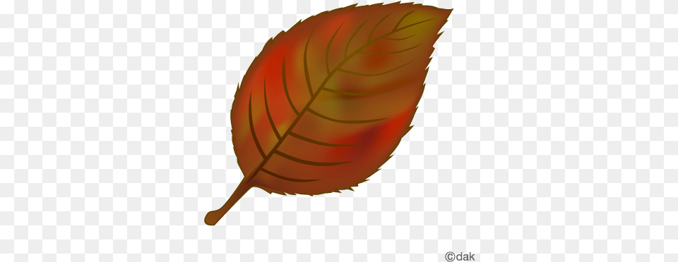 Hd Foliage Clipart Red Leaf Falling Tree Leaves Tree Leaves Clipart, Plant, Astronomy, Moon, Nature Free Png Download