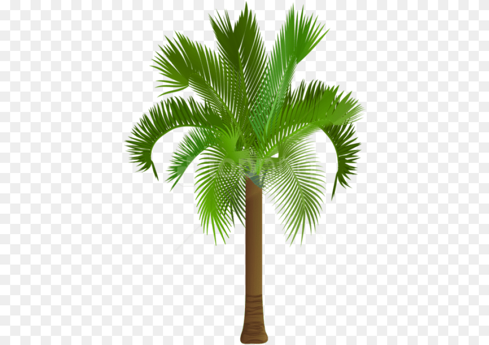 Download Hd Free Palm Tree Images Transparent Free Palm Tree Clipart, Palm Tree, Plant Png