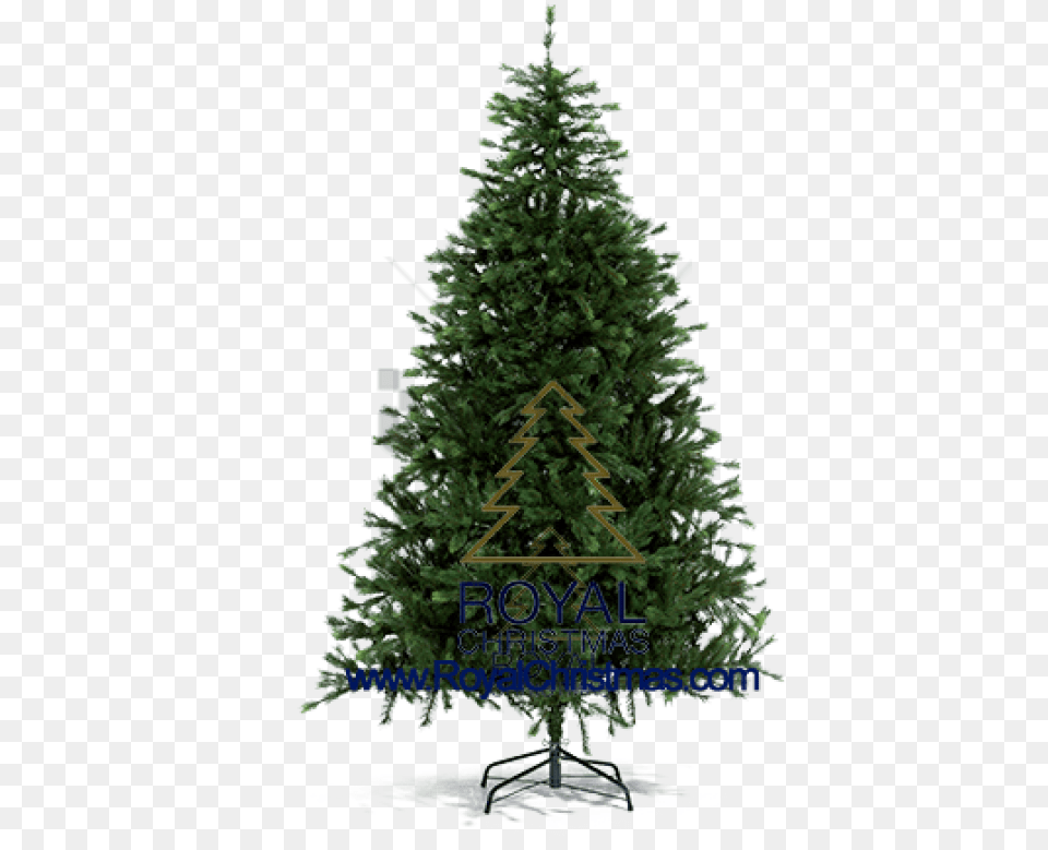 Download Hd Free Pine Tree For Christmas Image With High Resolution Plain Christmas Tree, Fir, Plant, Christmas Decorations, Festival Png