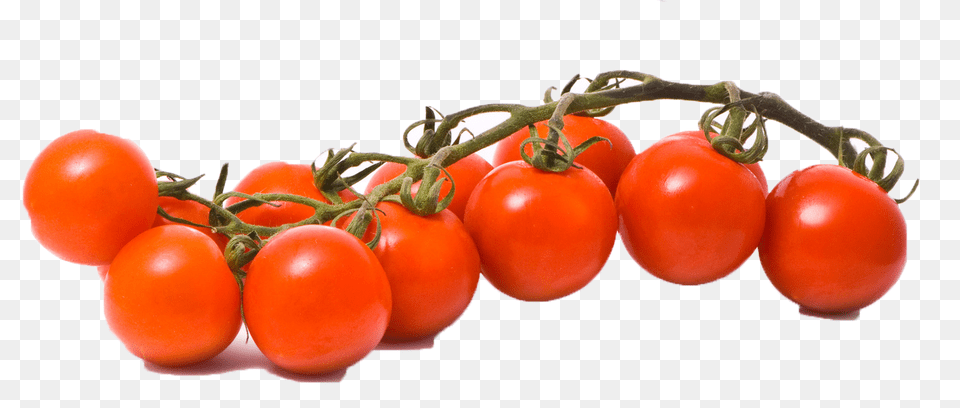 Download Hd Free Tomato Image Portable Network Graphics, Food, Plant, Produce, Vegetable Png