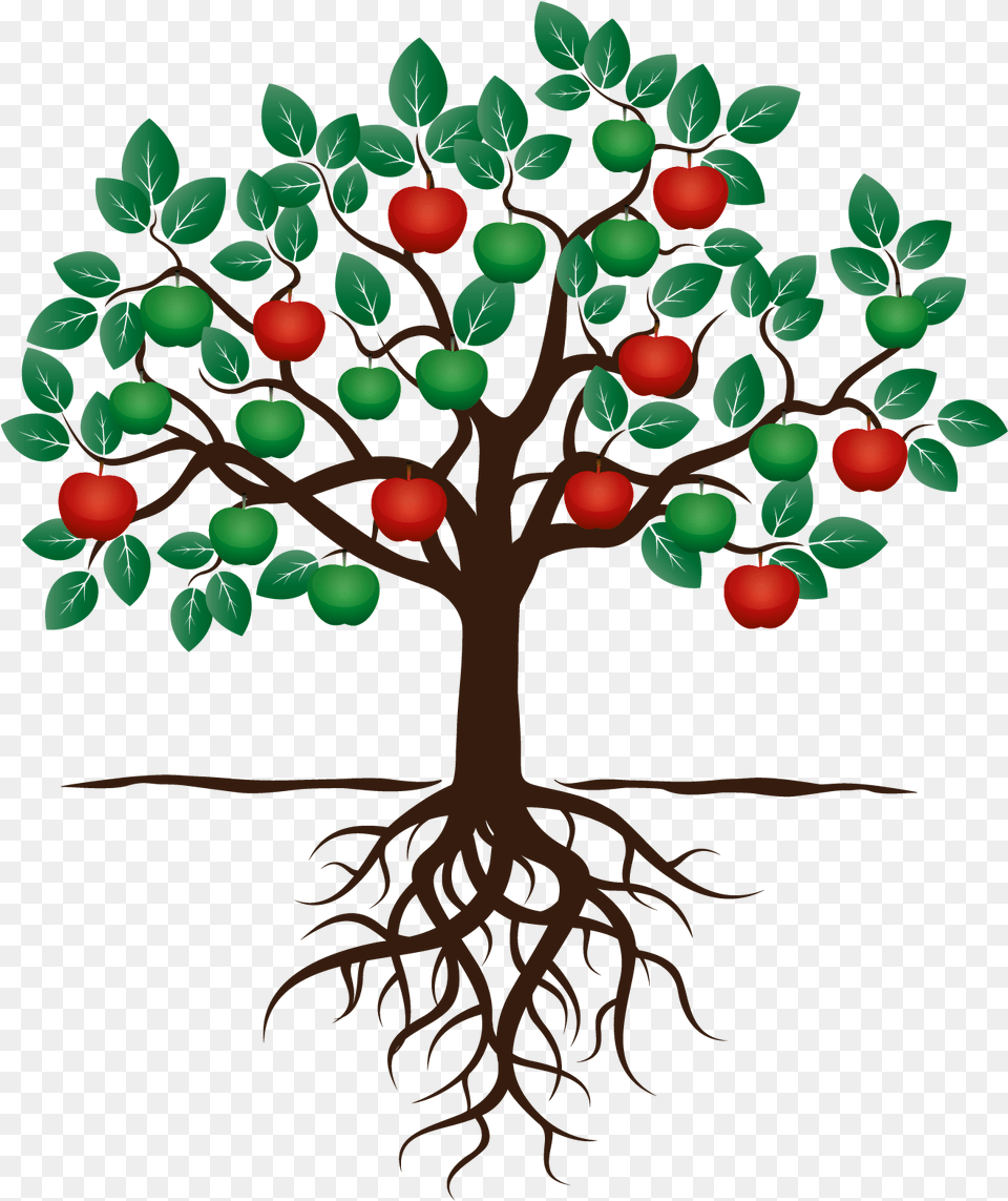 Download Hd Fruit Tree Drawing Apple Root Fruit Tree With Apple Tree With Roots Clipart, Plant, Art Png Image