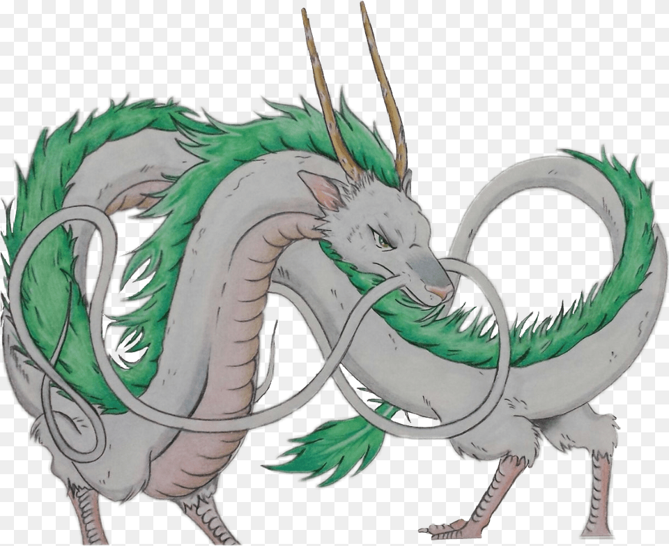 Download Hd Fteanime Haku Spiritedaway Anime Studioghibli Dragon Haku Dragon Spirited Away, Animal, Dinosaur, Reptile Free Transparent Png