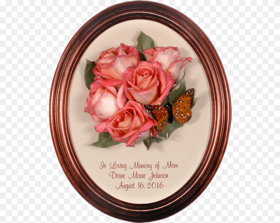 Download Hd Funeral Flower Preservation Funeral Flowers, Plant, Rose, Petal, Photography Png Image