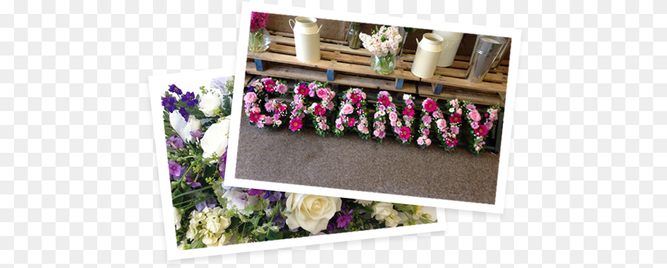 Download Hd Funeral Flowers Hampshire Make A Funeral Flower Arrangement, Flower Arrangement, Flower Bouquet, Plant, Rose Free Png