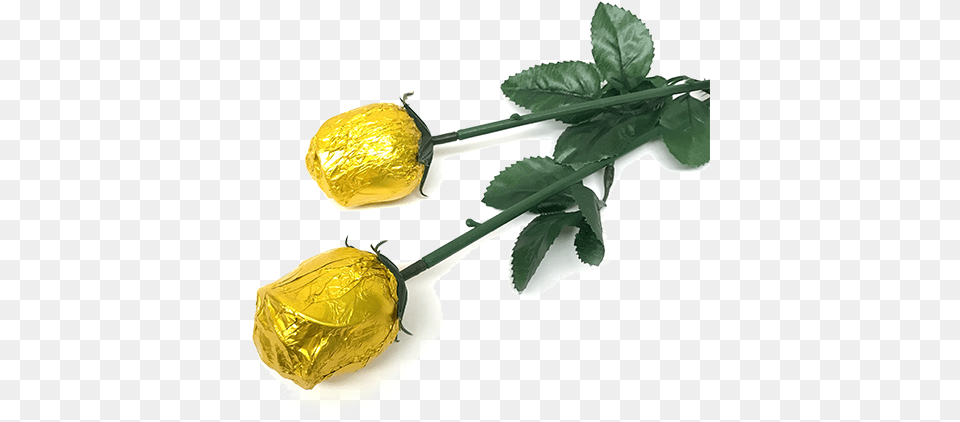 Download Hd Gold Foiled Belgian Rose Chocolate, Leaf, Plant, Flower, Food Png Image