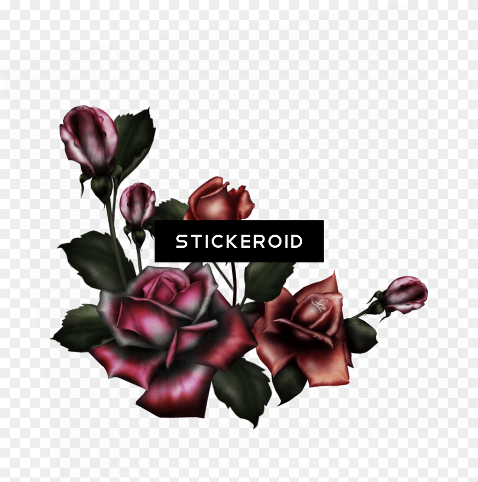 Download Hd Gothic Rose Pic Flower Gothic Flowers Gothic Flower, Plant, Art, Graphics, Petal Png