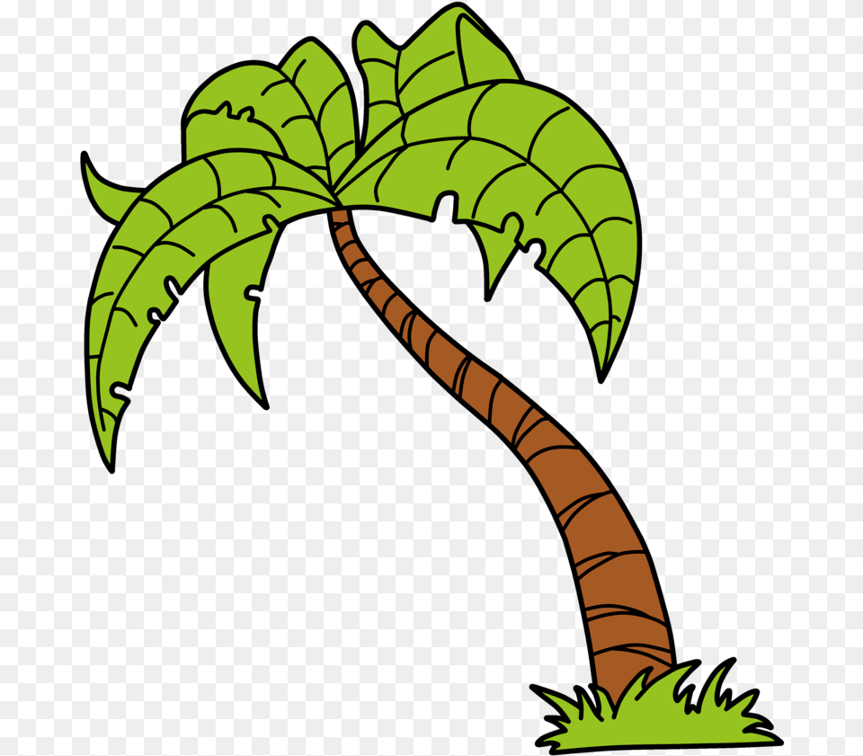 Download Hd Green Palm Tree Vector Palm Tree Cartoon Palm Tree Vector Art, Leaf, Plant, Vegetation, Animal Free Transparent Png