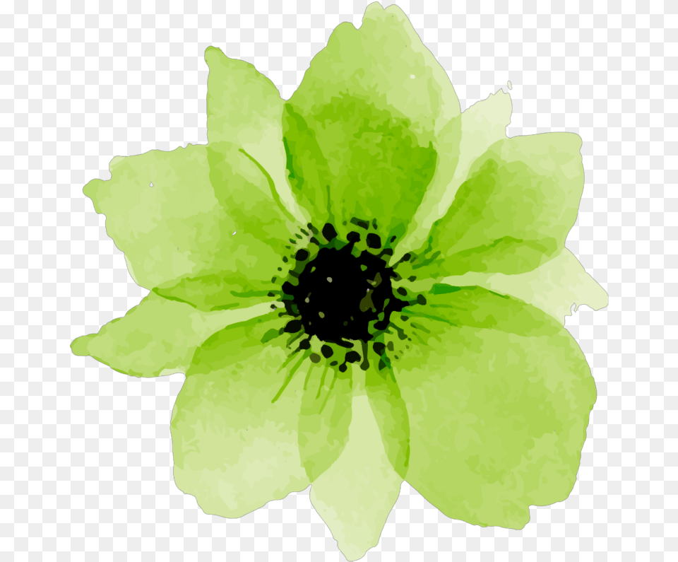 Download Hd Green Sticker Watercolor Pink Flower Transparent Green Watercolor Flower, Anemone, Anther, Petal, Plant Free Png