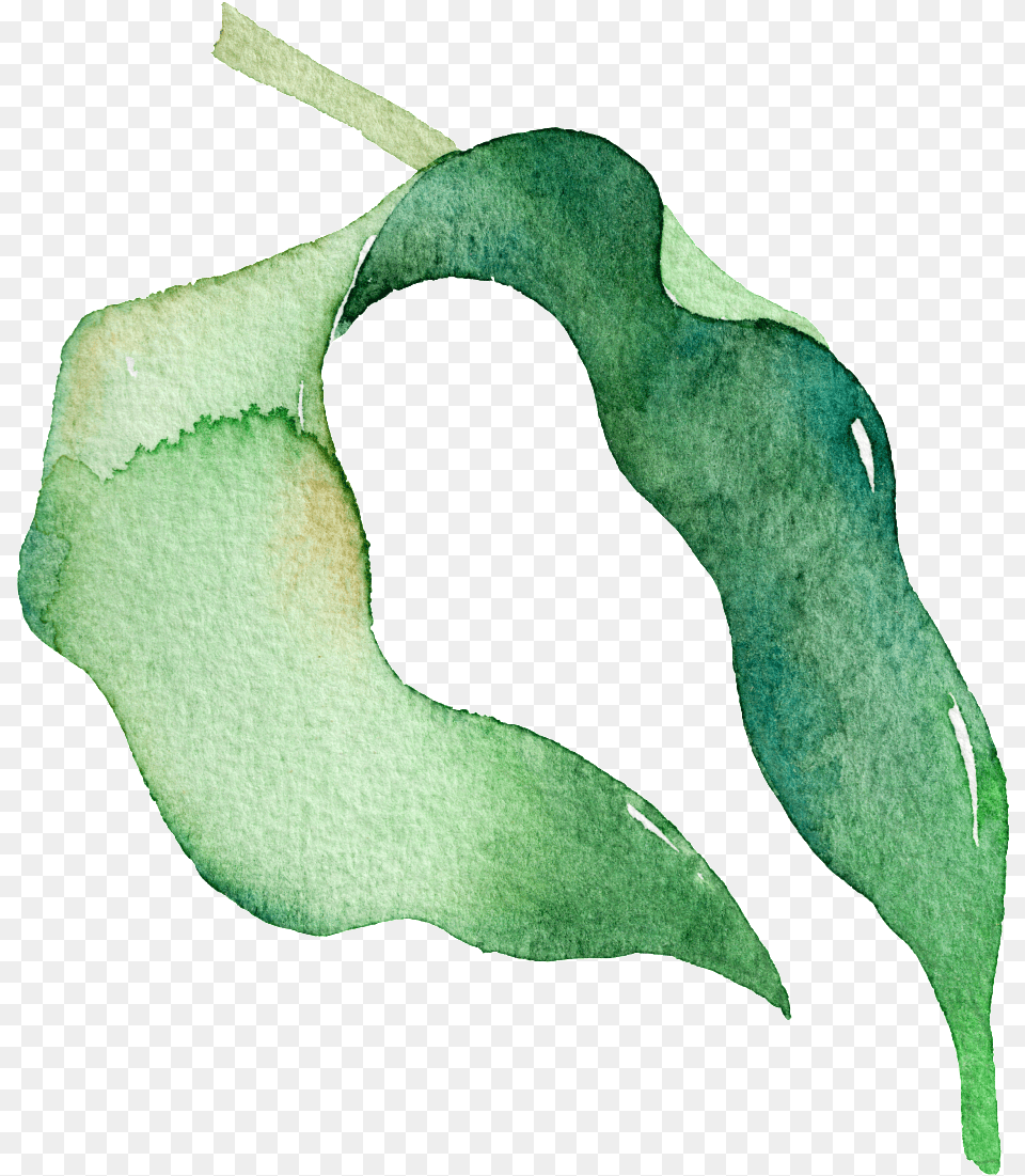 Download Hd Green Watercolor Pea Leaf Cartoon Green Watercolor, Plant, Tree, Accessories, Person Free Transparent Png