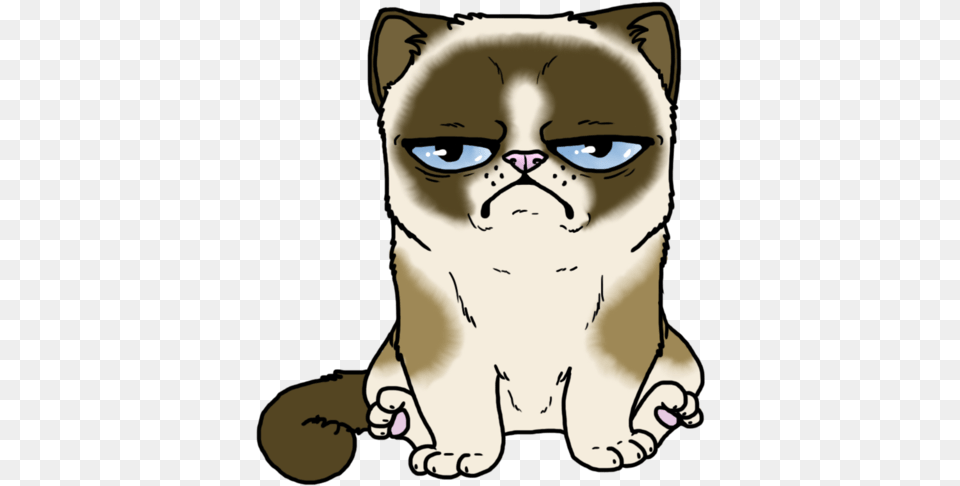 Hd Grumpy Cat Coloured By Fudgethedog D5zh7u7 Transparent Grumpy Cat Christmas, Baby, Person, Face, Head Free Png Download