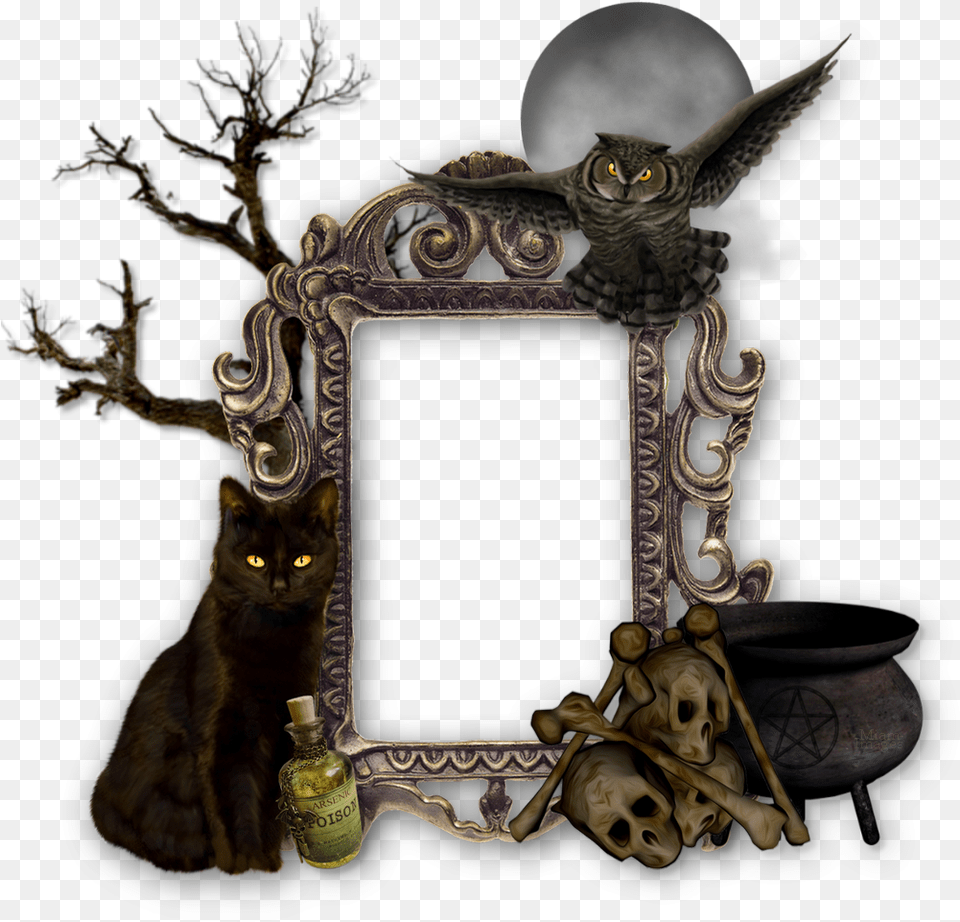 Hd Halloween Frame Tree Transparent Image Marcos Goticos De Fotos, Bronze, Animal, Bird, Cat Free Png Download