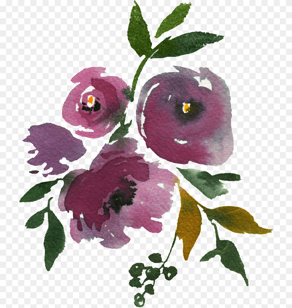 Download Hd Hand Painted Dark Purple Flowers Flower Paintings Dark, Food, Fruit, Plant, Produce Free Transparent Png