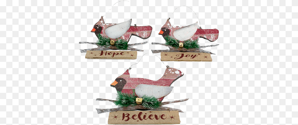 Download Hd Hanging Wood Cardinal Sign 12h 3 Assorted 6 Pc Christmas Ornament, Accessories, Animal Png