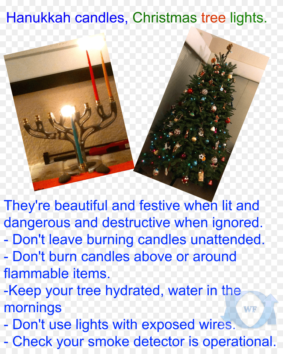 Download Hd Hanukkah Candles Christmas Christmas Tree, Christmas Decorations, Festival, Christmas Tree, Hanukkah Menorah Png