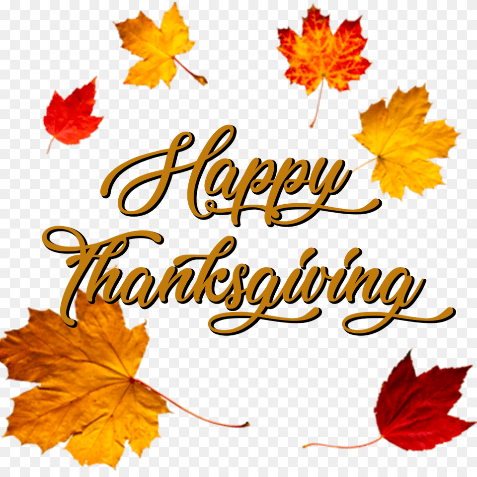Download Hd Happy Thanksgiving Crown Of Autumn Leaves Happy Thanksgiving Transparent Background, Leaf, Plant, Tree, Maple Png