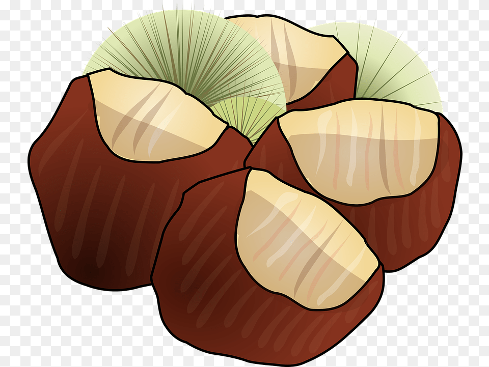 Download Hd Hazelnut Clipart Chestnuts Clipart, Food, Nut, Plant, Produce Free Png