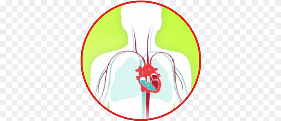 Download Hd Heart Failure Diagram Heart Failure Heart Failure, Face, Head, Person, Disk Png Image