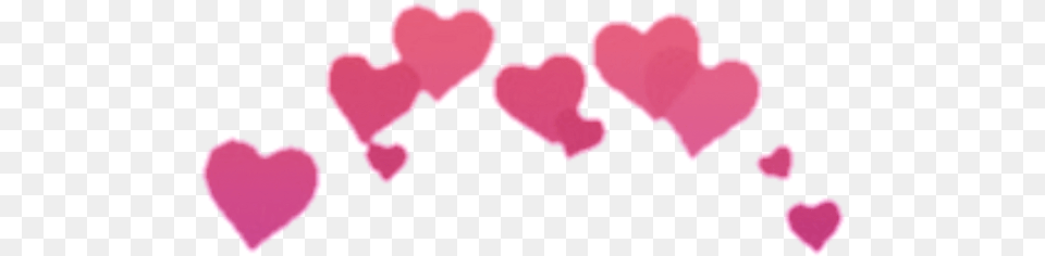 Download Hd Hearts Heart Crowns Crown Heartcrown Purple Pink Heart Crown Snapchat Filter, Flower, Petal, Plant Free Png
