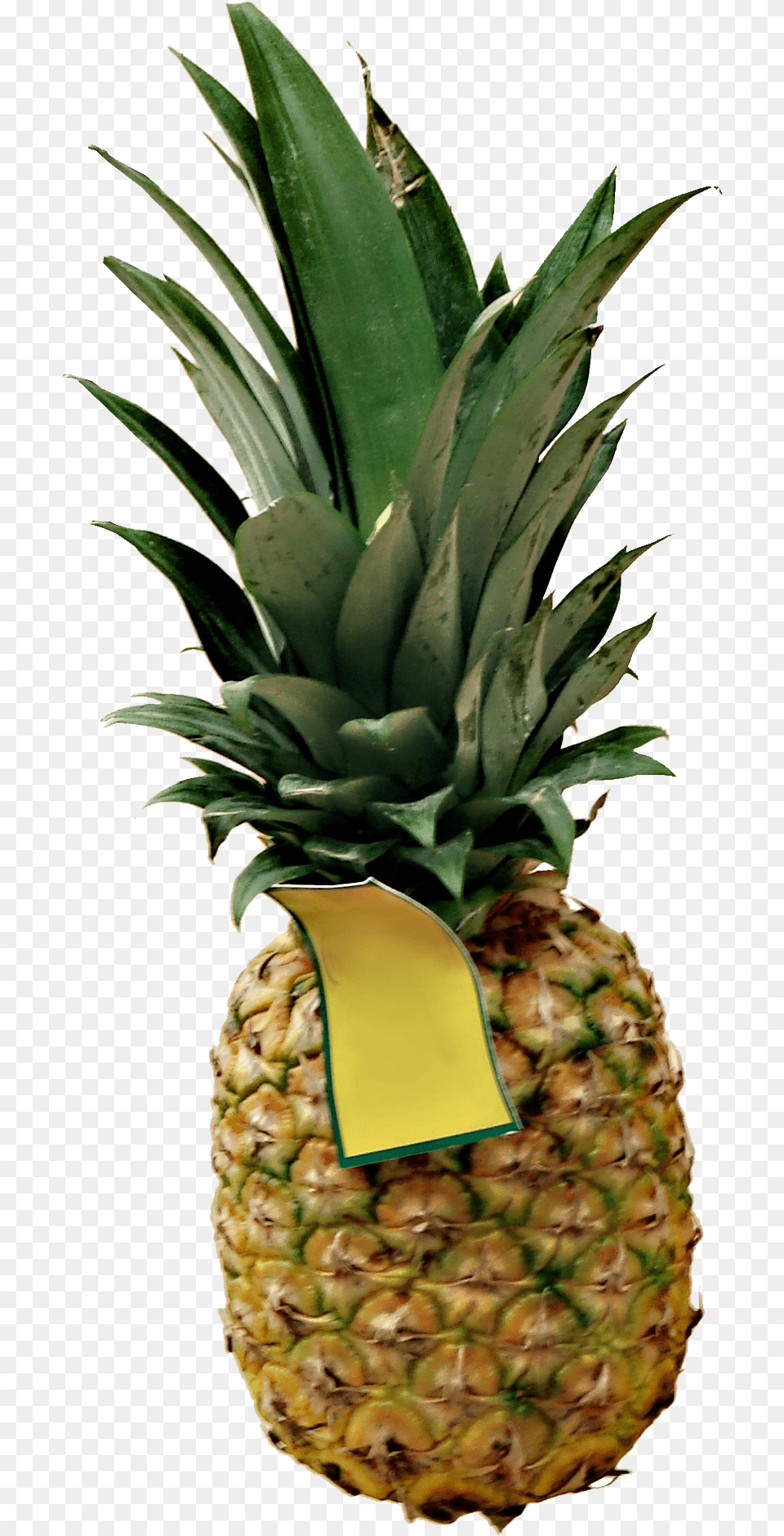 Hd High Definition Pineapple Picture Ananas, Food, Fruit, Plant, Produce Free Png Download