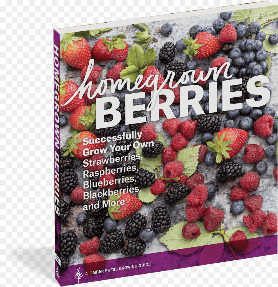 Download Hd Homegrown Berries Homegrown Berries By Timber Blueberries Supermarket Free Png