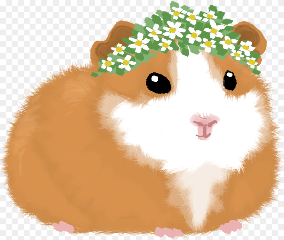 Download Hd Ill Keep Drawing Cute Animals In Flower Crowns Cute Guinea Pigs Drawing, Animal, Mammal, Rodent, Bear Png Image
