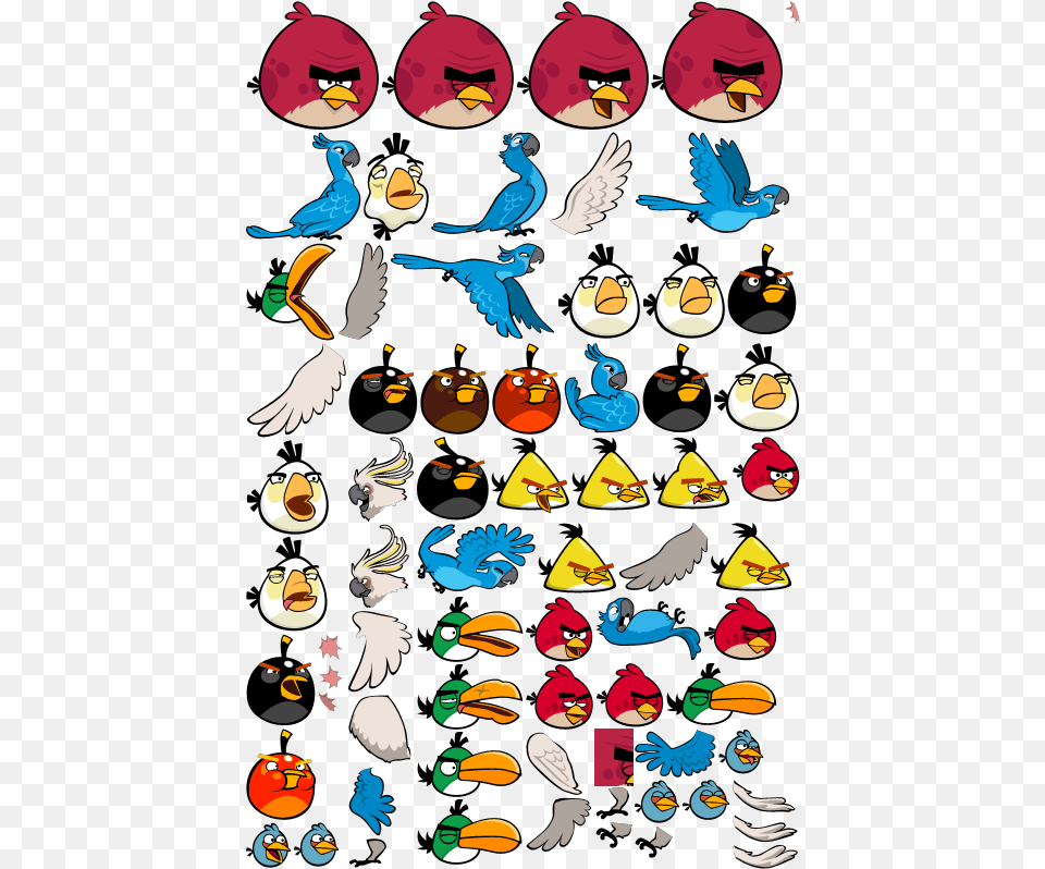 Download Hd Image Color De Angry Birds Transparent Birds Rio Angry Bird, Animal, Head, Person, Face Png