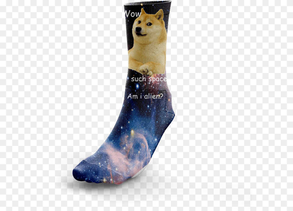 Download Hd Image Of Doge In Space Copenhagen Doges Soft, Clothing, Hosiery, Christmas, Christmas Decorations Png
