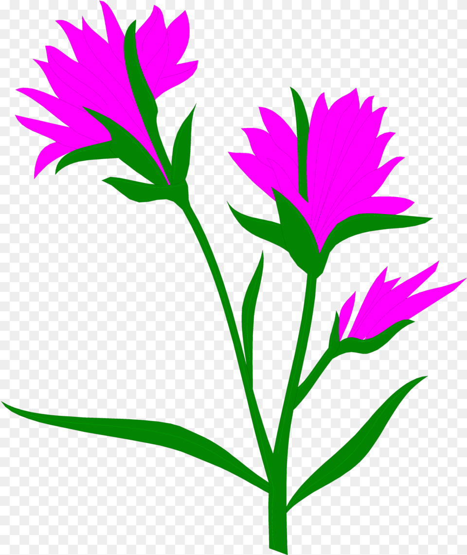 Download Hd Indian Indian Flower Art Transparent Paintbrush Transparent Clipart Background, Plant, Purple, Petal, Daisy Free Png