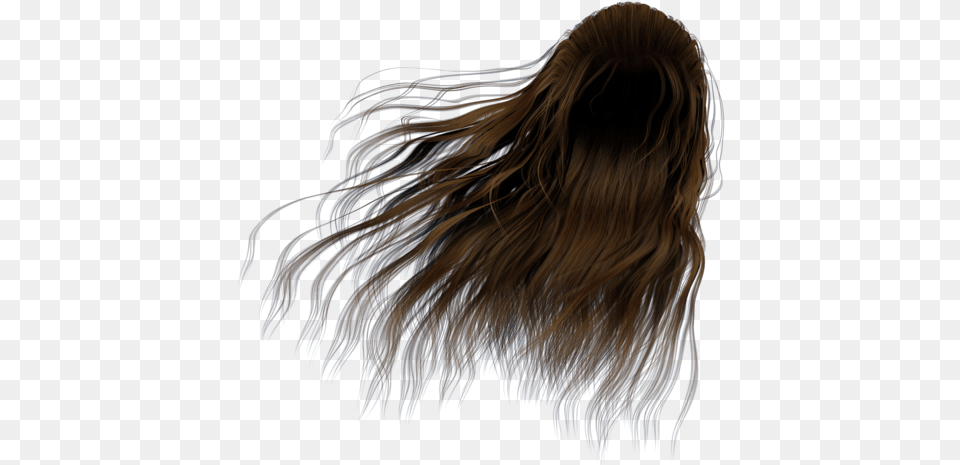 Download Hd J84pum0 Transparent Hair In The Wind, Adult, Female, Person, Woman Png Image