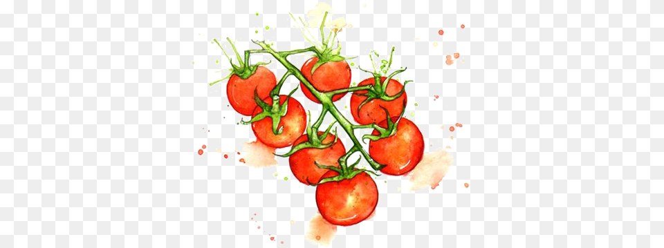 Download Hd Juice Cherry Tomato Watercolor Painting Tomato Art Watercolor, Food, Plant, Produce, Vegetable Free Transparent Png
