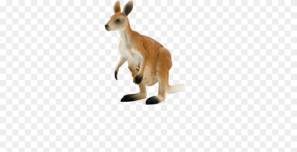 Download Hd Kangaroo Nicepngcom Animal Planet Toys Kangaroo, Mammal Png Image