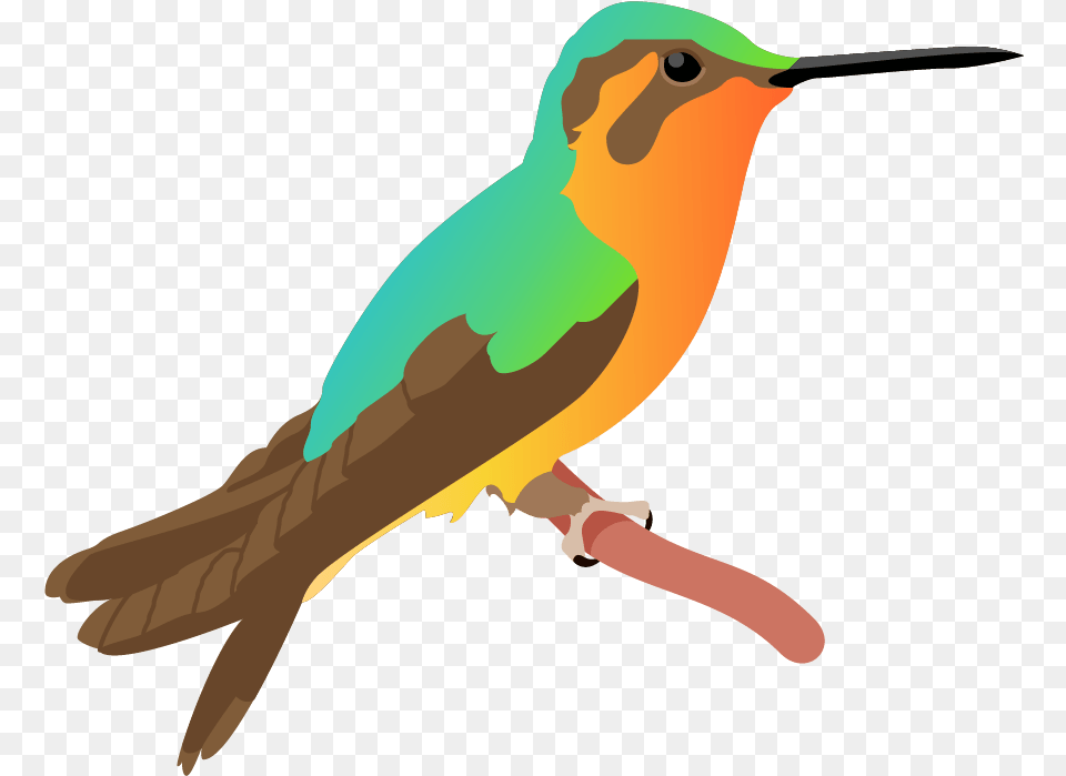 Download Hd Kingfisher Poster Rubythroated Hummingbird Piciformes, Animal, Beak, Bird Free Png