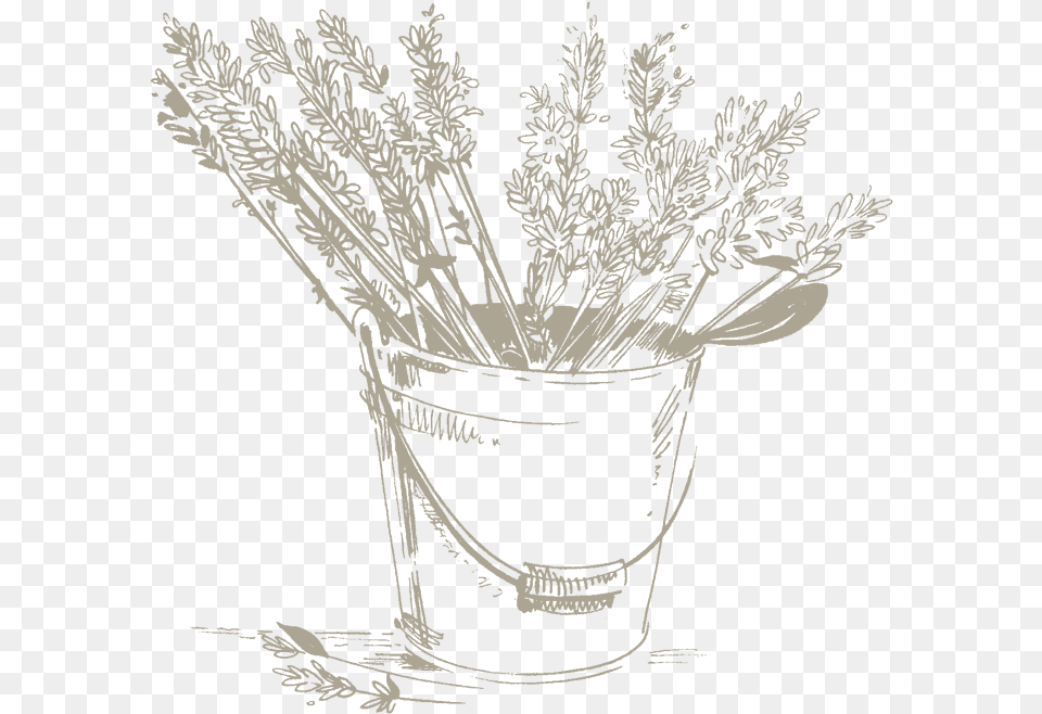 Hd Lavender Water Is Used In Cosmetics For Its Bouquet, Plant, Bucket, Art, Herbal Free Png Download