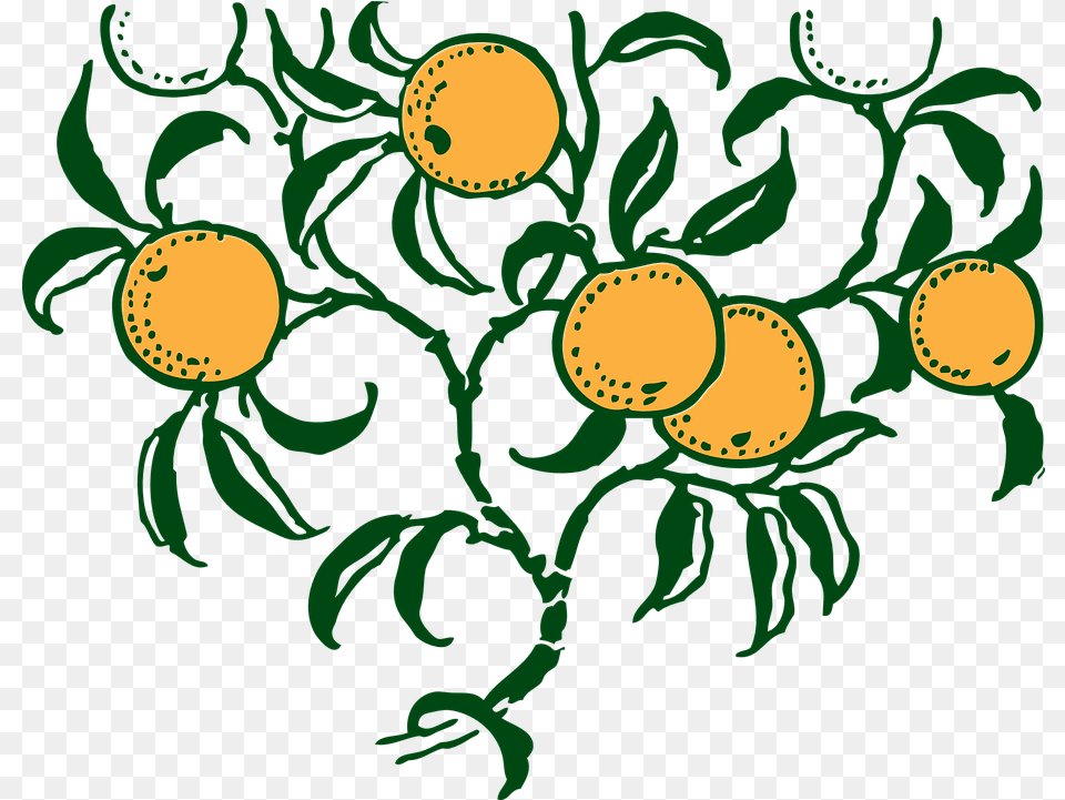 Download Hd Lemon Tree Clipart 26 Buy Clip Art Oranges On Orange Tree Graphic, Graphics, Pattern, Floral Design, Food Free Png