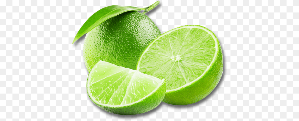 Download Hd Lime Lime, Citrus Fruit, Food, Fruit, Plant Png Image