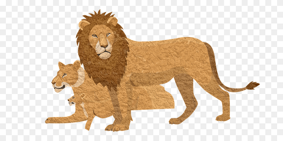 Download Hd Lion Pixabay Animal Lioness Vintage Lion Cartoon Lion With Cub, Mammal, Wildlife Free Transparent Png