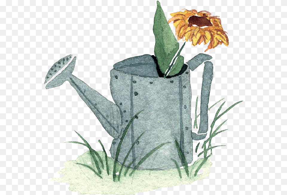 Hd Little Watercolor Watering Can With Sunflower In Watercolor Watering Can Clipart, Tin, Plant, Watering Can, Flower Free Png Download