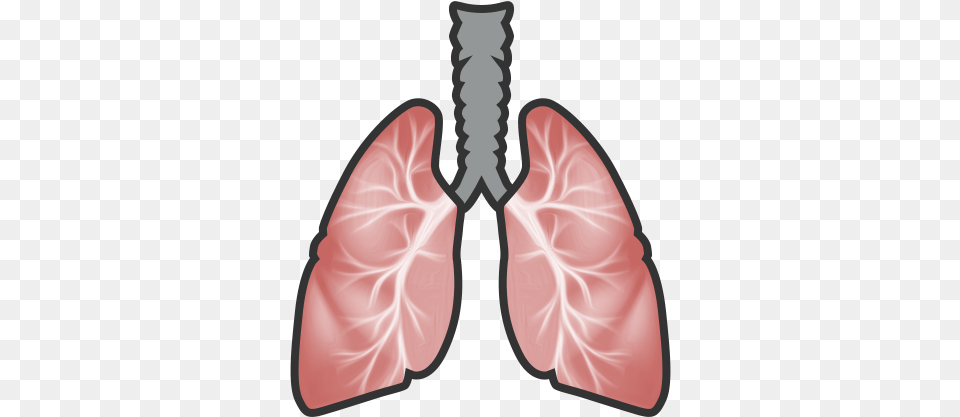 Download Hd Lungs Clip Art, Flower, Petal, Plant, Weapon Free Png