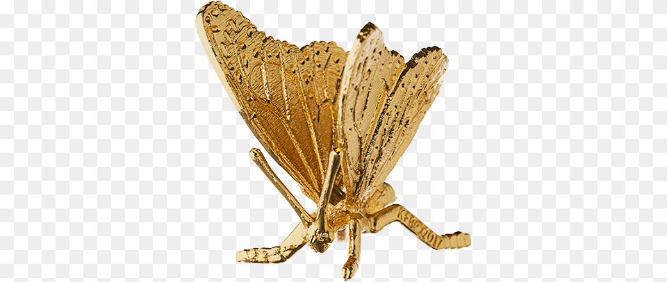 Download Hd Monarch Butterfly Gold Plated Figurine Parasitism, Animal, Insect, Invertebrate, Accessories Png Image