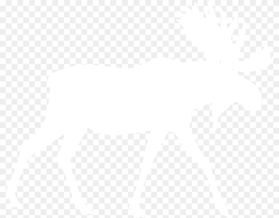 Hd Moose Elk White Moose, Person, Animal, Mammal, Wildlife Free Png Download