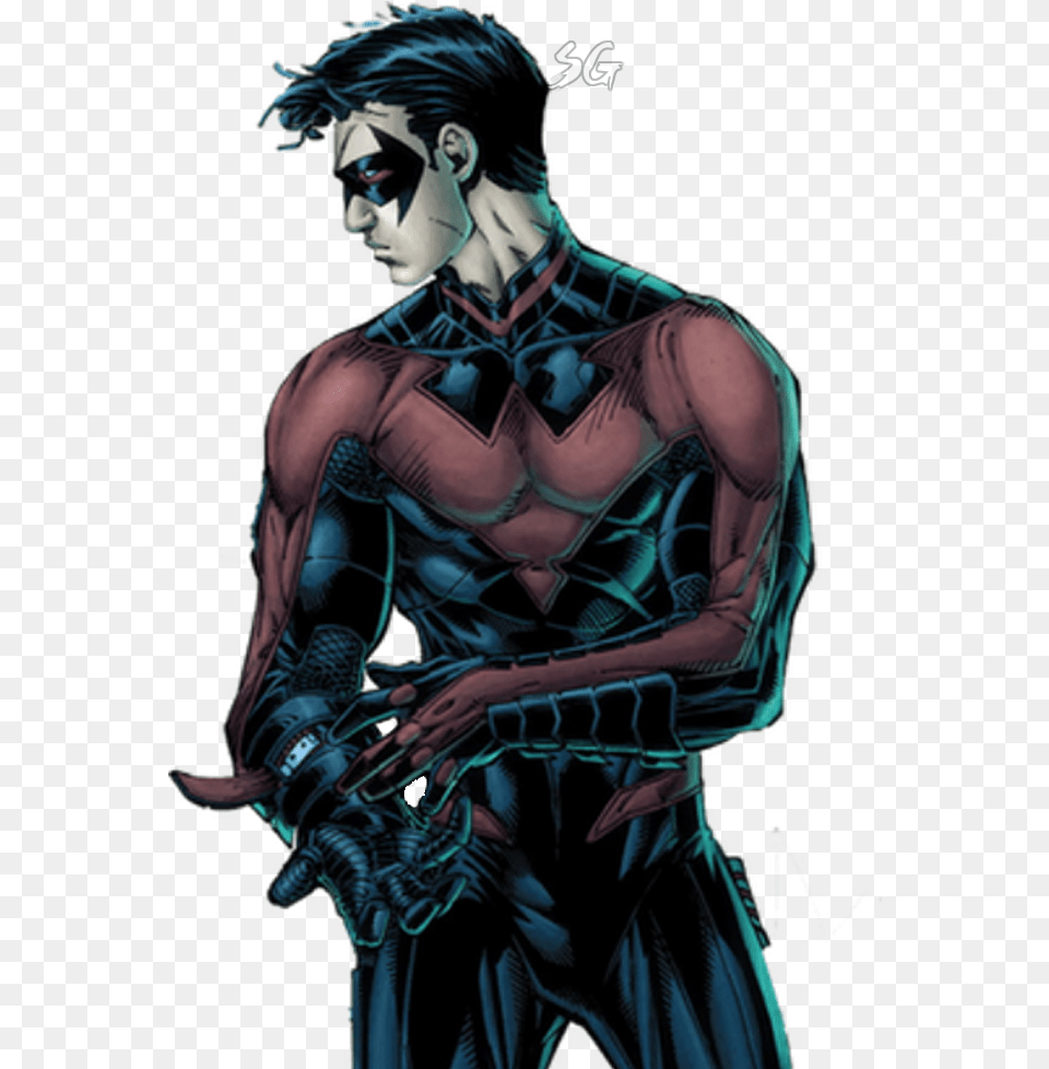 Download Hd Nightwing Picture Harley Quinn And Nightwing, Adult, Male, Man, Person Free Transparent Png